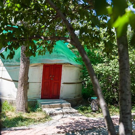 Arista Yurt Camp Hotell Karakol Exteriör bild